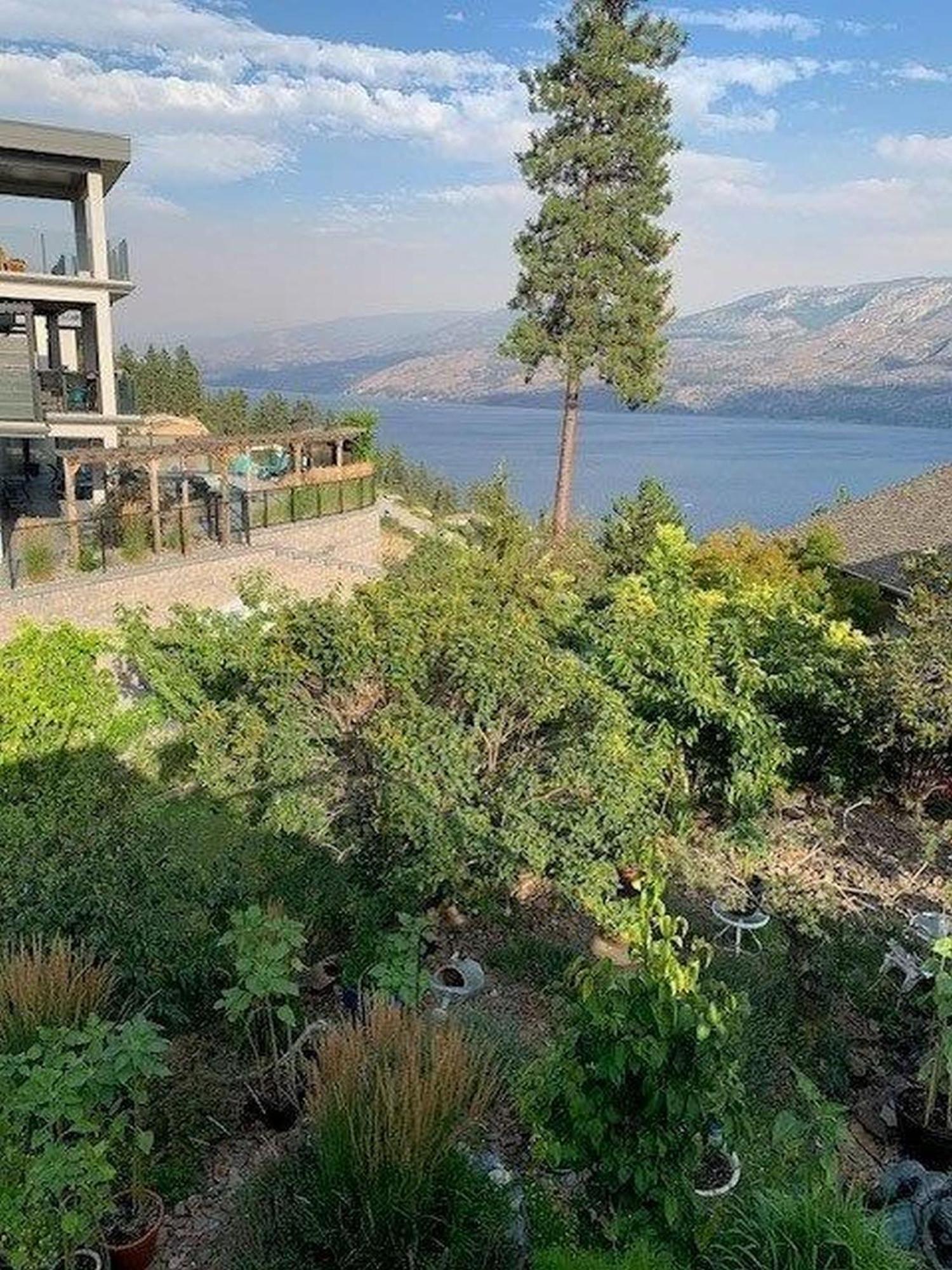 At The Top Of The Hill Peachland Dış mekan fotoğraf